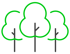 bosques bosques